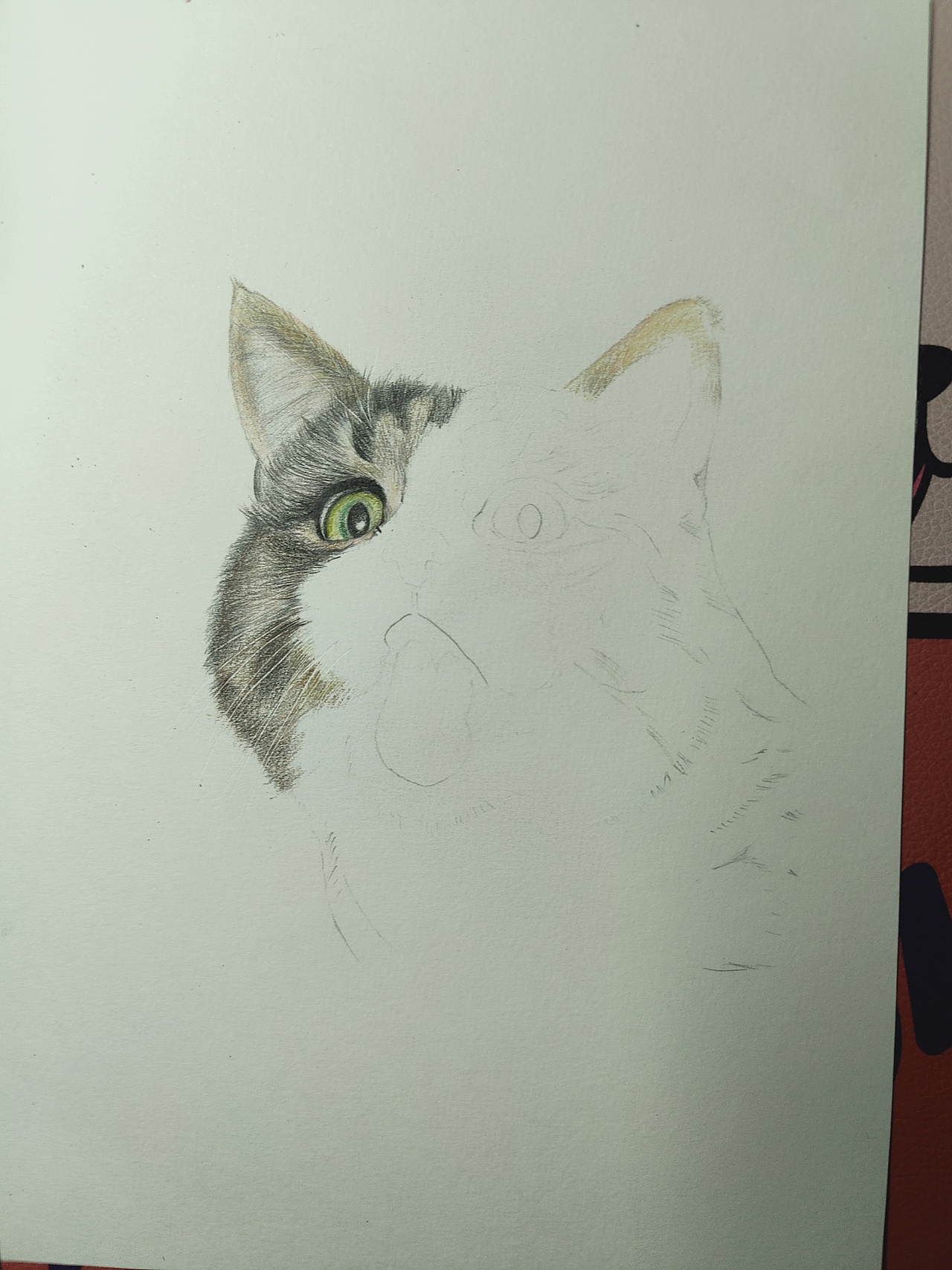 鬼臉貓（圖ZMjM4Njc5MDAw） - 繪畫 - 站酷設(shè)計師可小萌kiko原創(chuàng)素材 - 站酷ZCOOL