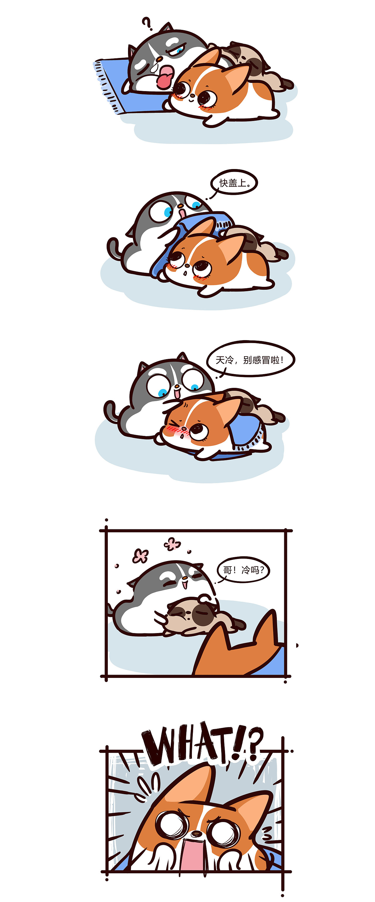 寒冷的冬日缺一个取暖的垫子——《有家宠物店》（图ZMTQ4ODU1MjYw） - 短篇/格漫 - 站酷设计师Bingo小鬼原创素材 - 站酷ZCOOL