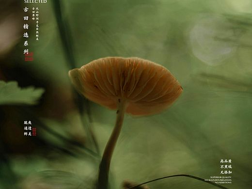 古田秀峰包装设计