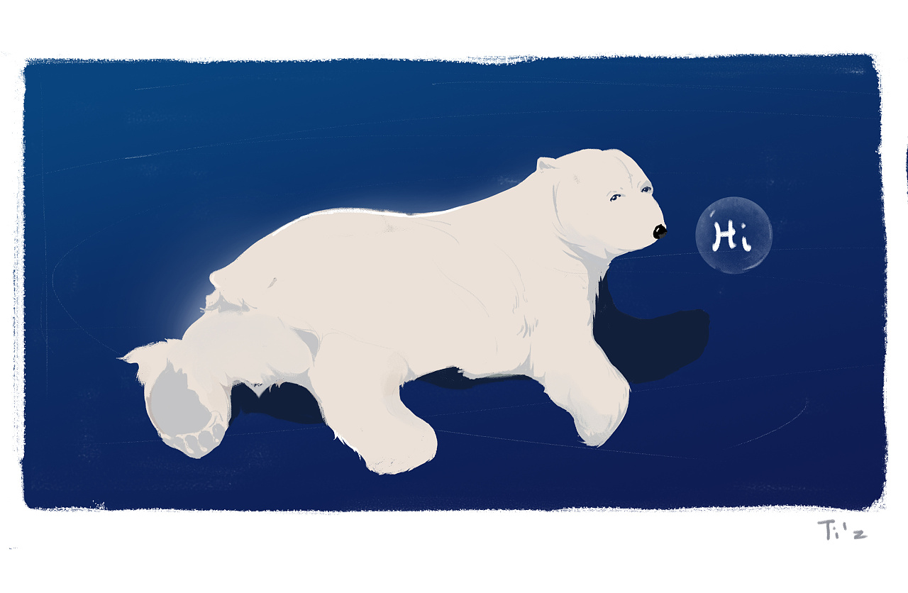 北极熊|插画|创作习作|Cbras - 原创作品 - 站酷 (ZCOOL)
