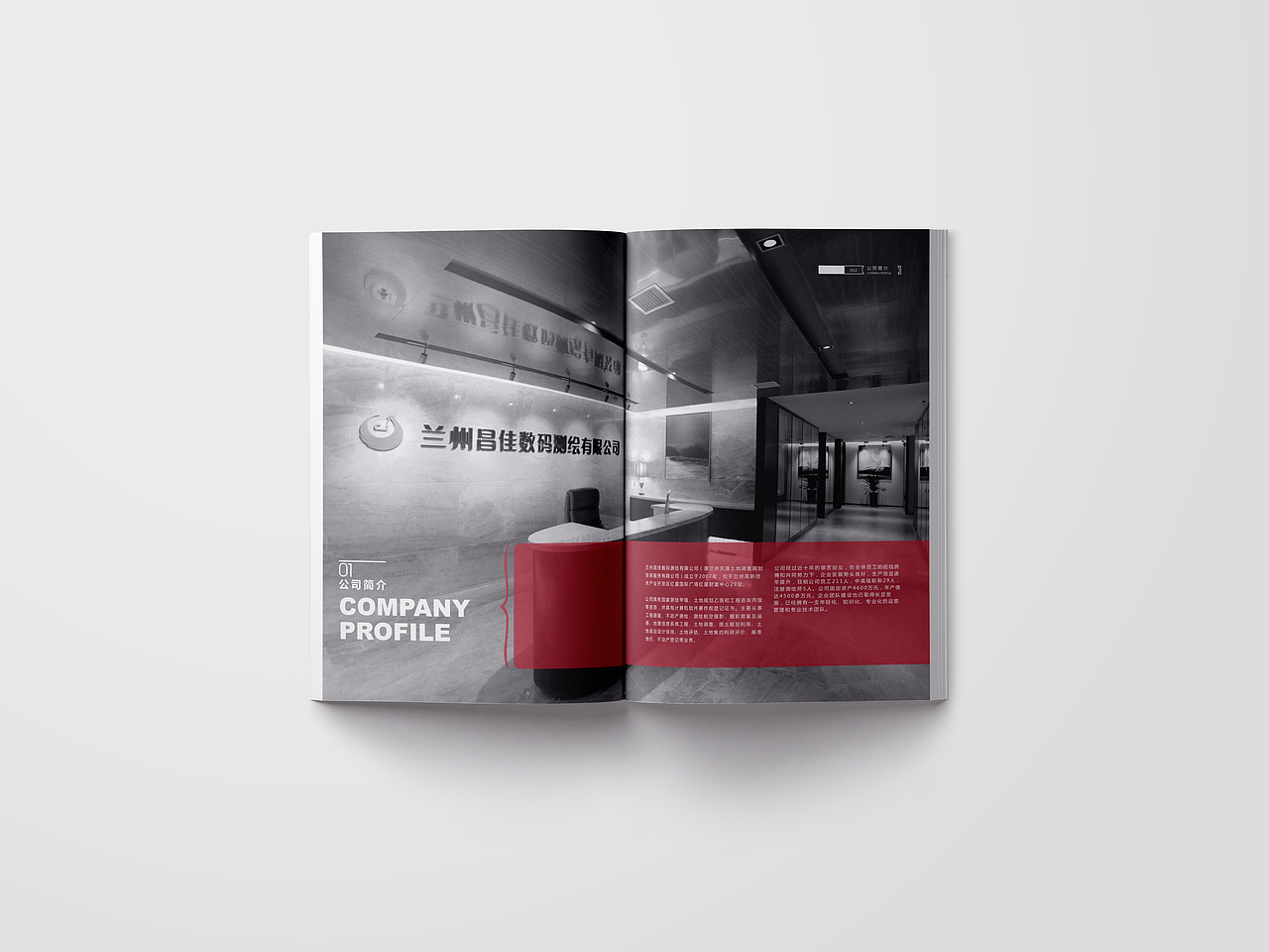 菜鸟的2017（二）（图ZMTA0OTU3MjEy） - Logo - 站酷设计师吃糖长不高原创素材 - 站酷ZCOOL