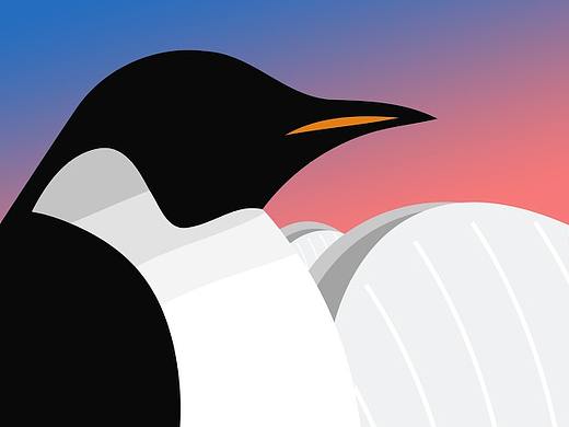 企鹅珠海 PENGUIN ZHUHAI - LOGO