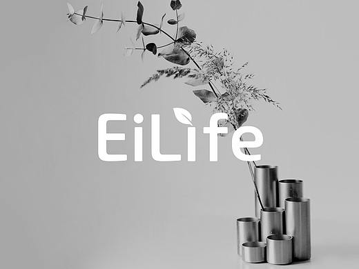 无规则品牌：EiLife ▏亚马逊跨境电商品牌设计