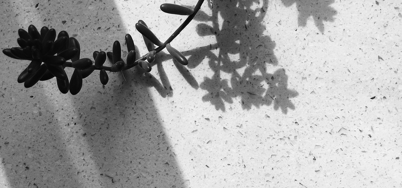 辦公室（圖ZMTA3NDUwNjY4） - 產(chǎn)品攝影 - 站酷設計師123www123原創(chuàng)素材 - 站酷ZCOOL