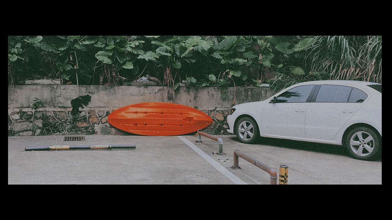 枝头春满，人间皆安🌸