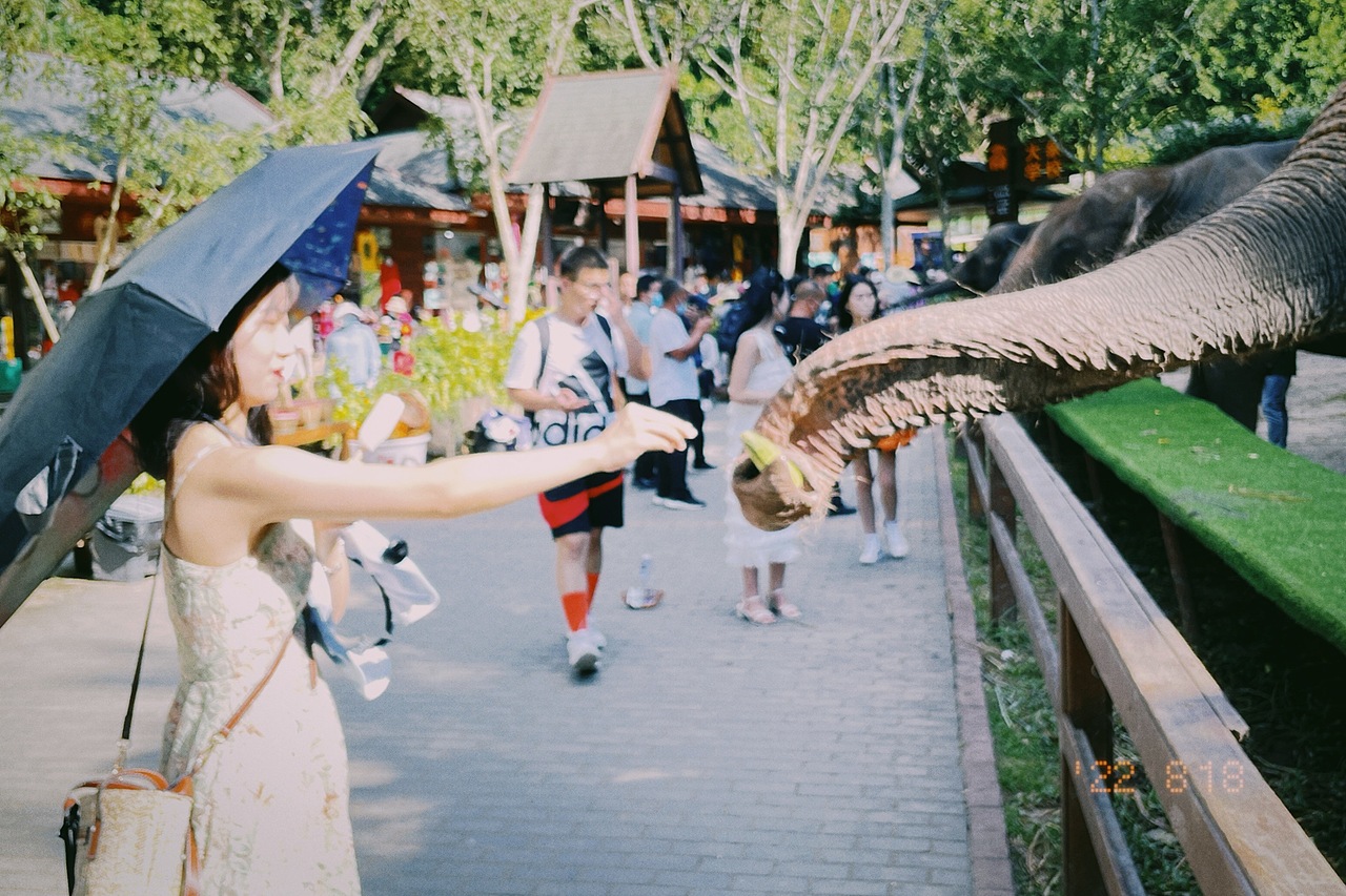 海螺沟 & 西双版纳 《胶片拍摄》