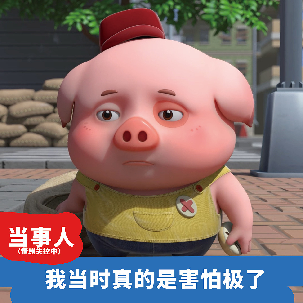 探探猫搞笑图片合集：我有快乐水和故事，你不跟我走？