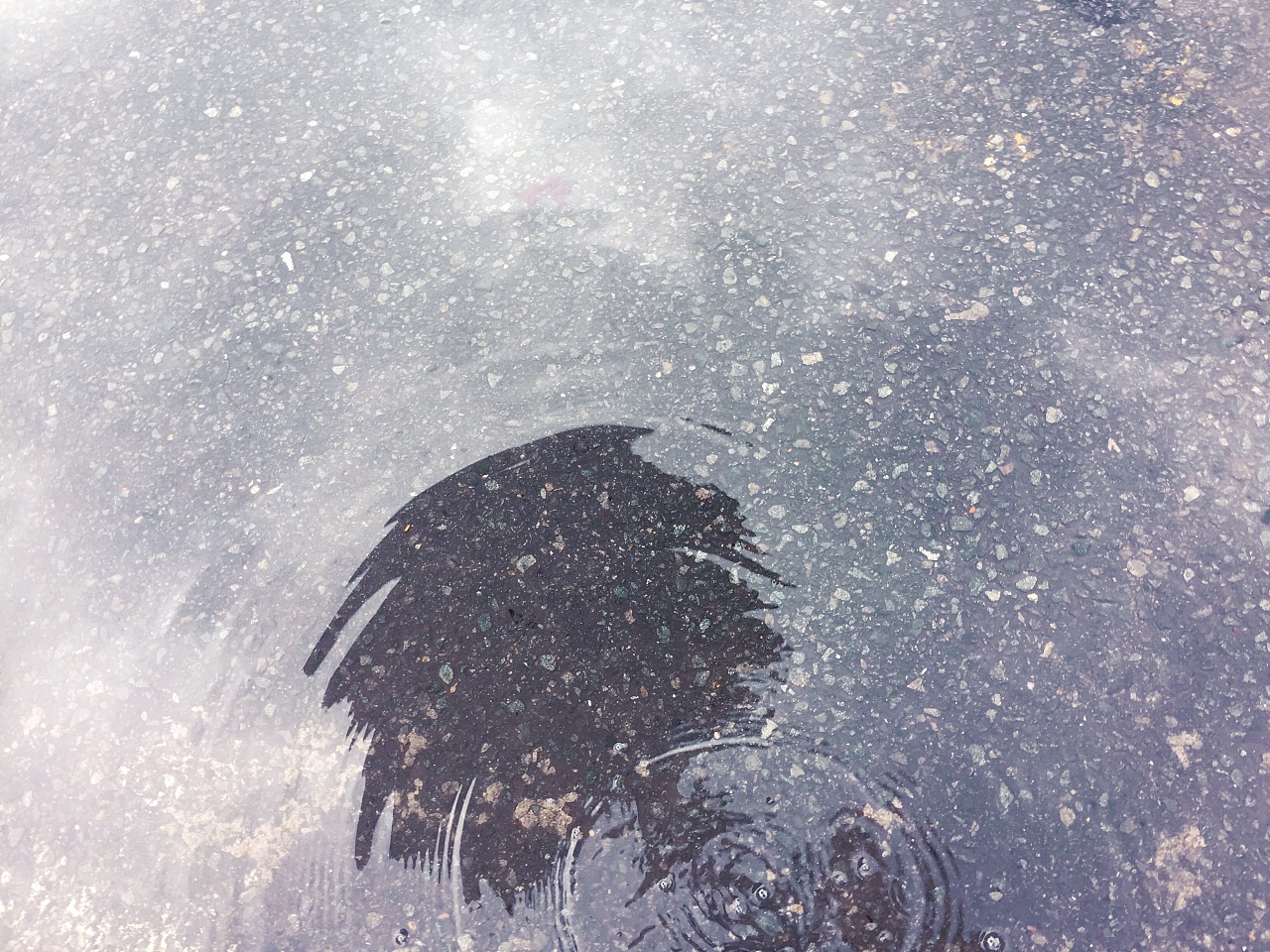 晴天 雨天,窗里 窗外