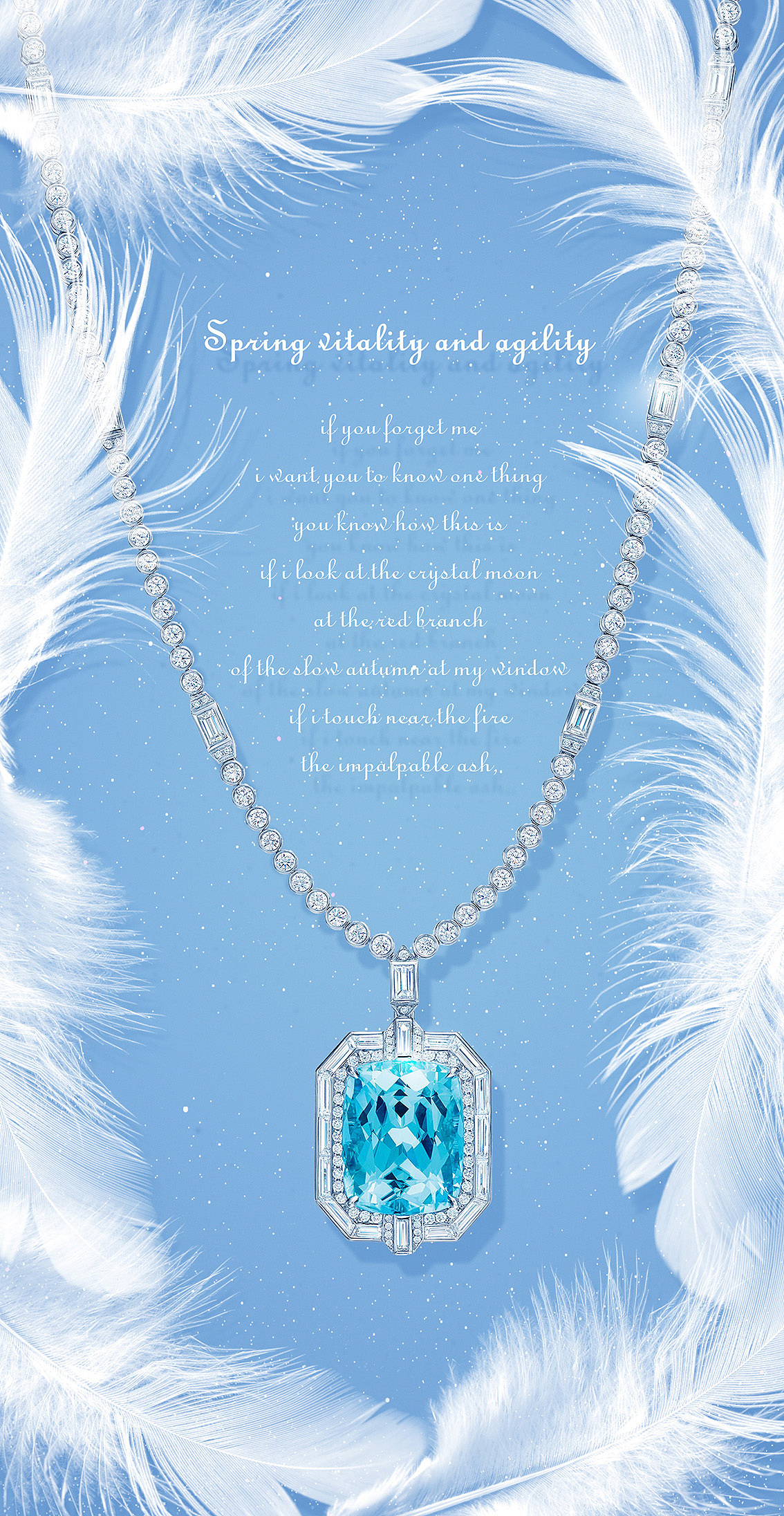 钻石冬季项链海报