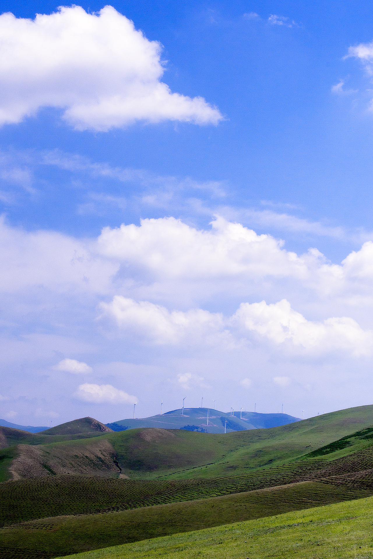 坝上景色（图ZMzI3OTE0MDAw） - 风光摄影 - 站酷设计师无敌统帅原创素材 - 站酷ZCOOL