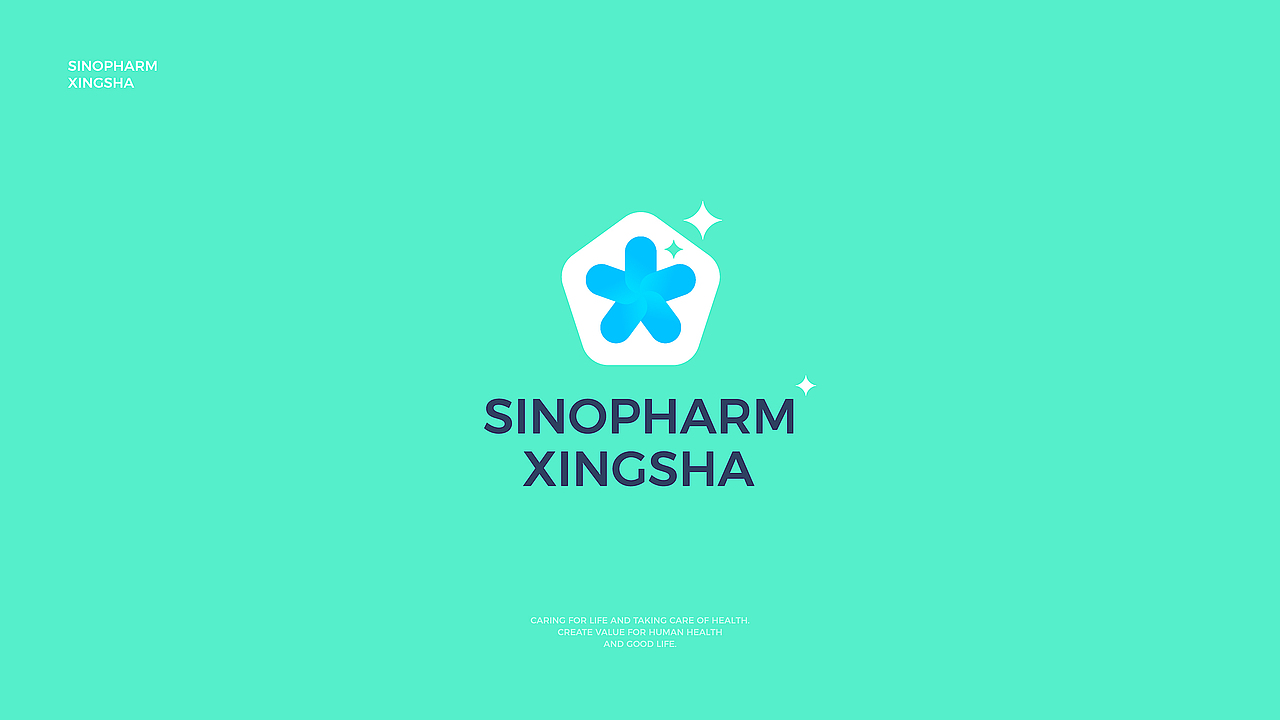 品牌升级设计｜国控星鲨品牌视觉升级（图ZMjk1NzE0ODA4） - Logo - 站酷设计师陈义文Evan原创素材 - 站酷ZCOOL
