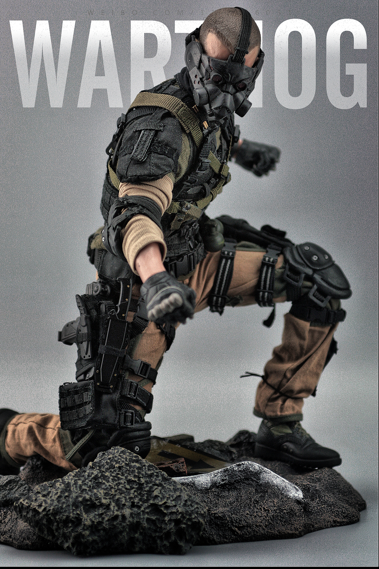 臆造自D兵人“疣猪”