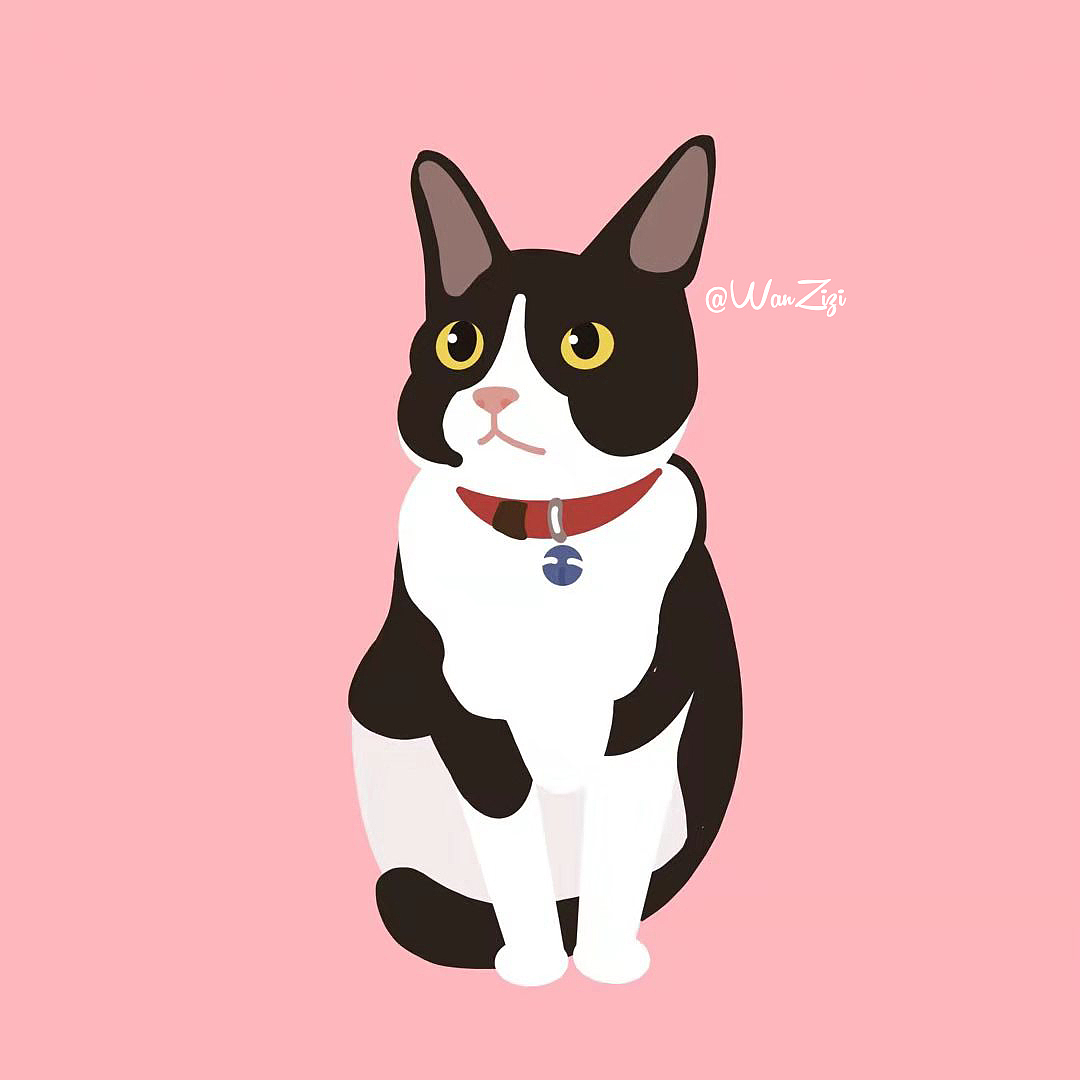 猫咪（图ZMTc2NzY0ODQ0） - 创作习作 - 站酷设计师玩子慢吞吞原创素材 - 站酷ZCOOL