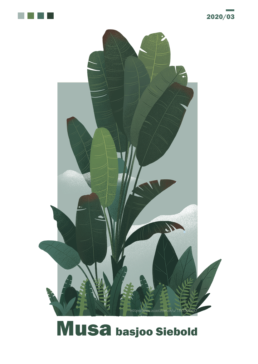 植物（图ZMjAyOTkwOTAw） - 创作习作 - 站酷设计师一口一个小甜饼原创素材 - 站酷ZCOOL