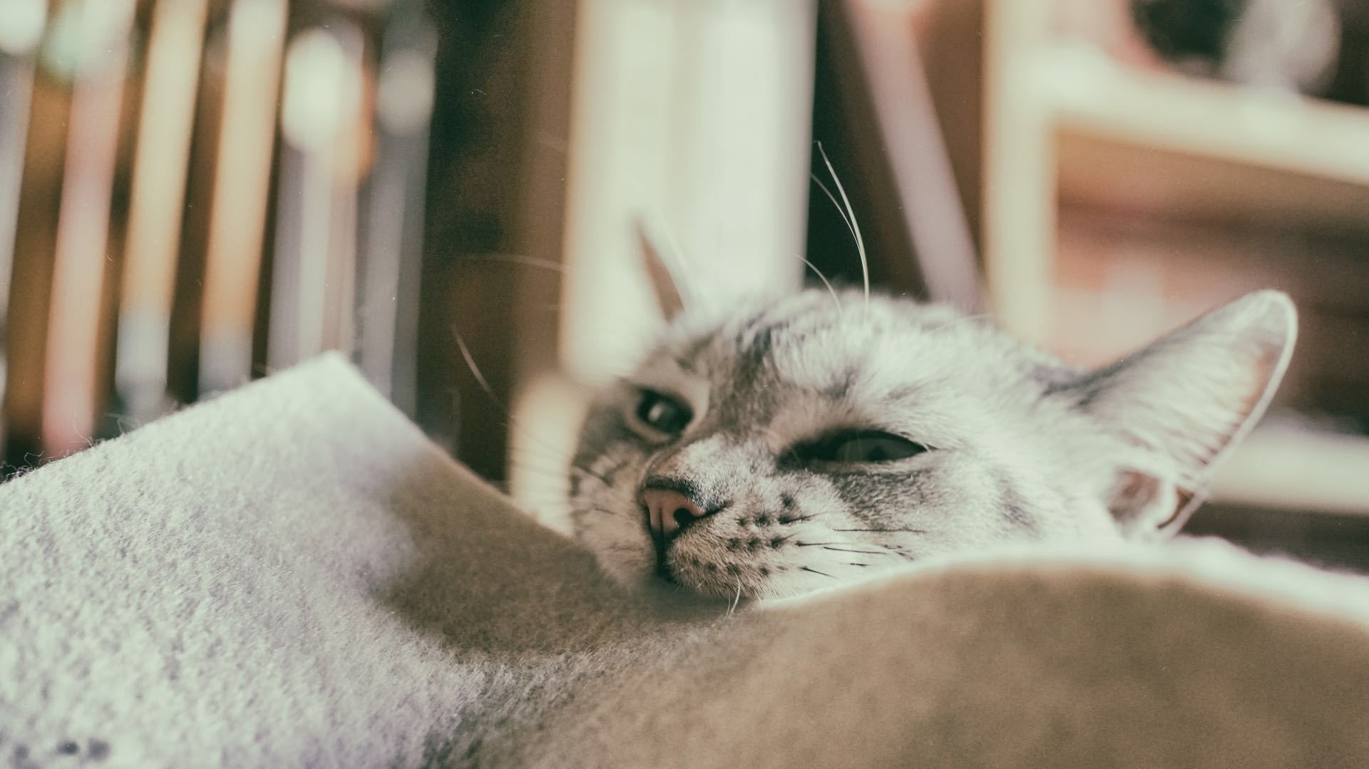 zhl007008009的個人主頁（封面預覽） - 主頁封面設置 - 站酷設計師zhl007008009原創(chuàng)素材 - 站酷ZCOOL