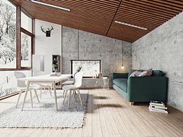 冬日里的一縷陽光