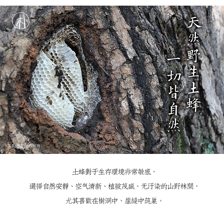 朴食 自然的味道（图ZNjMwNTUzNzY=） - 包装 - 站酷设计师桃子Pro原创素材 - 站酷ZCOOL