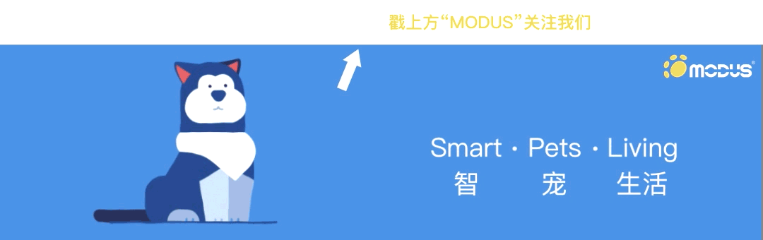微信運(yùn)營物料設(shè)計(jì)---動(dòng)效2（圖ZNzY4Nzg1MzY=） - 動(dòng)效設(shè)計(jì) - 站酷設(shè)計(jì)師Joshsoon原創(chuàng)素材 - 站酷ZCOOL