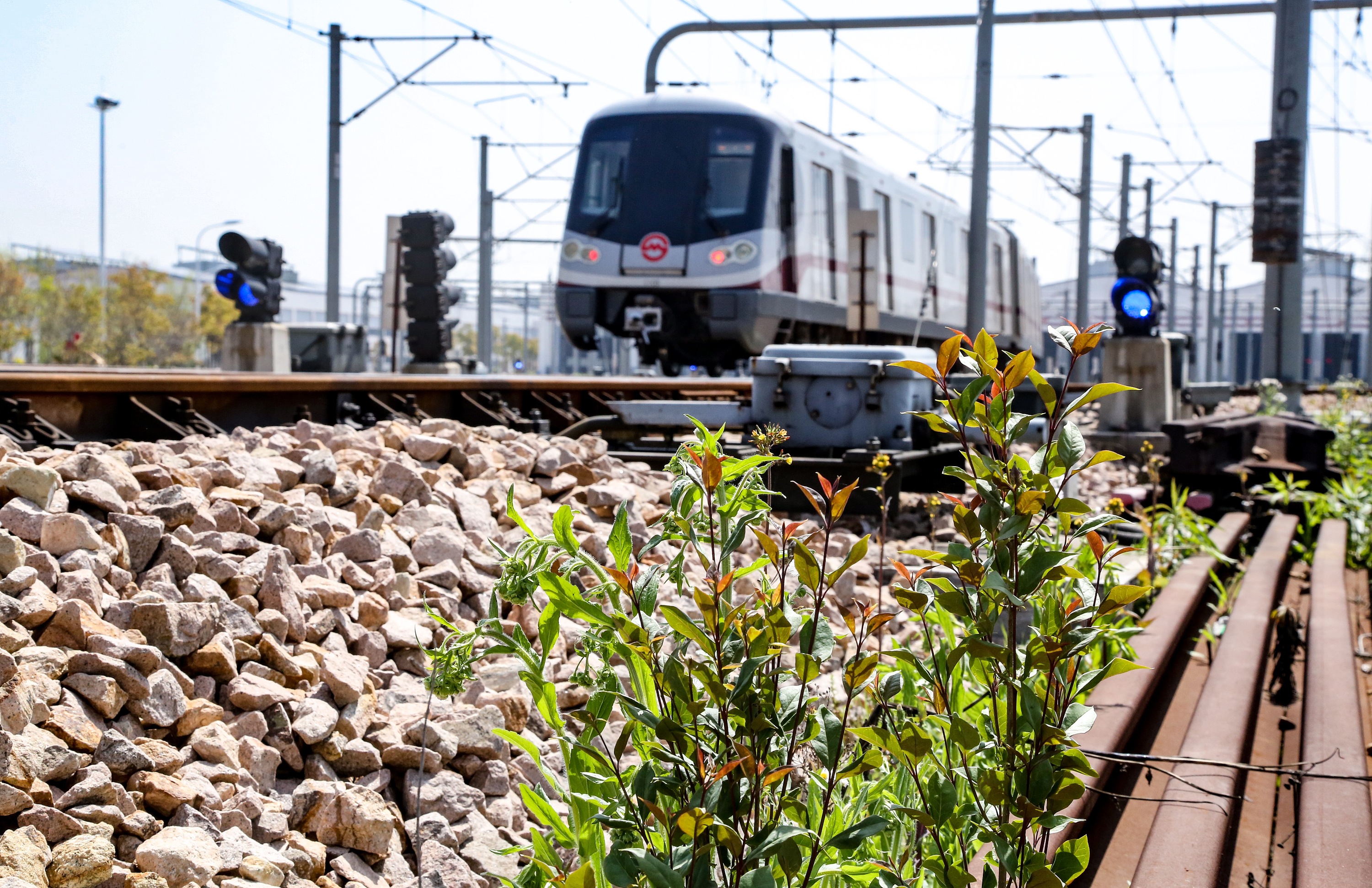 城市春天的地下铁