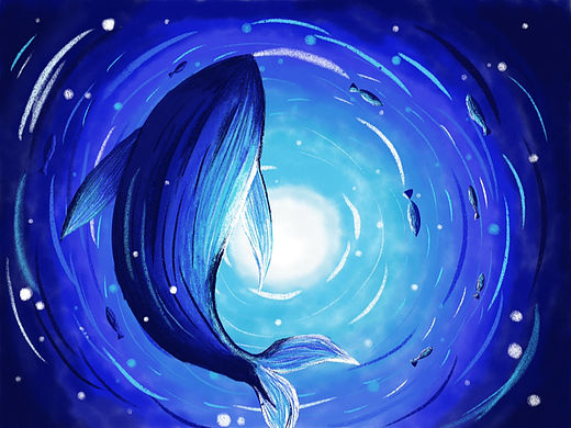 鲸🐳