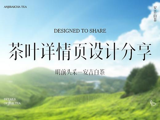 茶叶详情*2