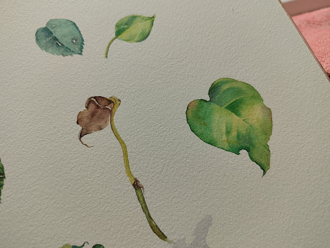 好玩解压的水彩叶子（图ZMjk5ODk0Njgw） - 创作习作 - 站酷设计师学手绘的小苹盖原创素材 - 站酷ZCOOL