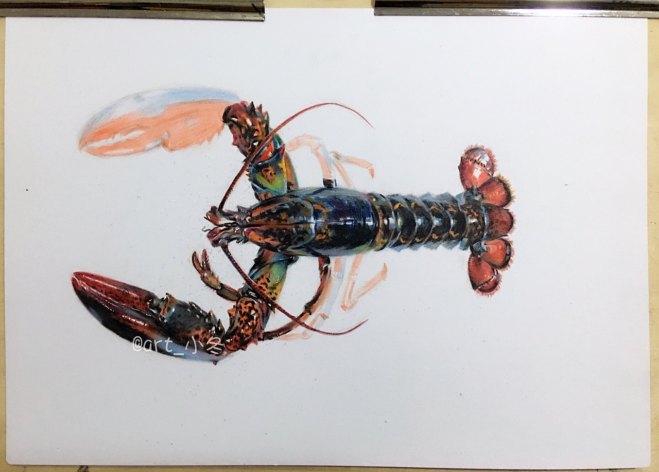 彩铅小龙虾（图ZNzczNTQwOTI=） - 绘画 - 站酷设计师art_小冬原创素材 - 站酷ZCOOL