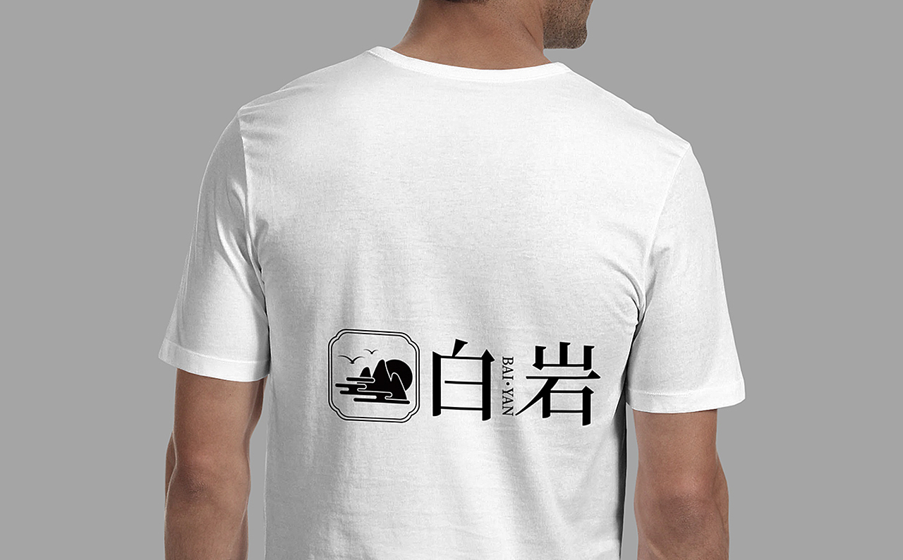 【南都艺设】白岩LOGO设计/字体设计/图形设计/方案A
