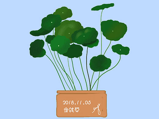 植物篇--周练打卡（个人主页-ZMzExMzU5OTY=） - 创作习作 - 站酷设计师小小小金牛原创素材 - 站酷ZCOOL