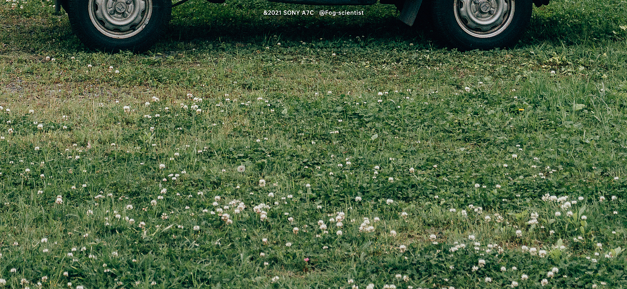 岚山终篇 | Photo | 雾里学家 | 22 | #速写人间烟火#