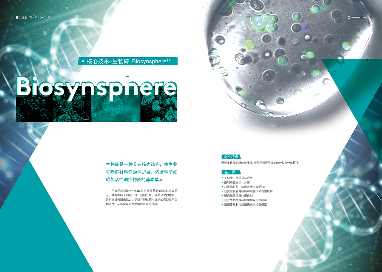 蓝光英诺画册排版