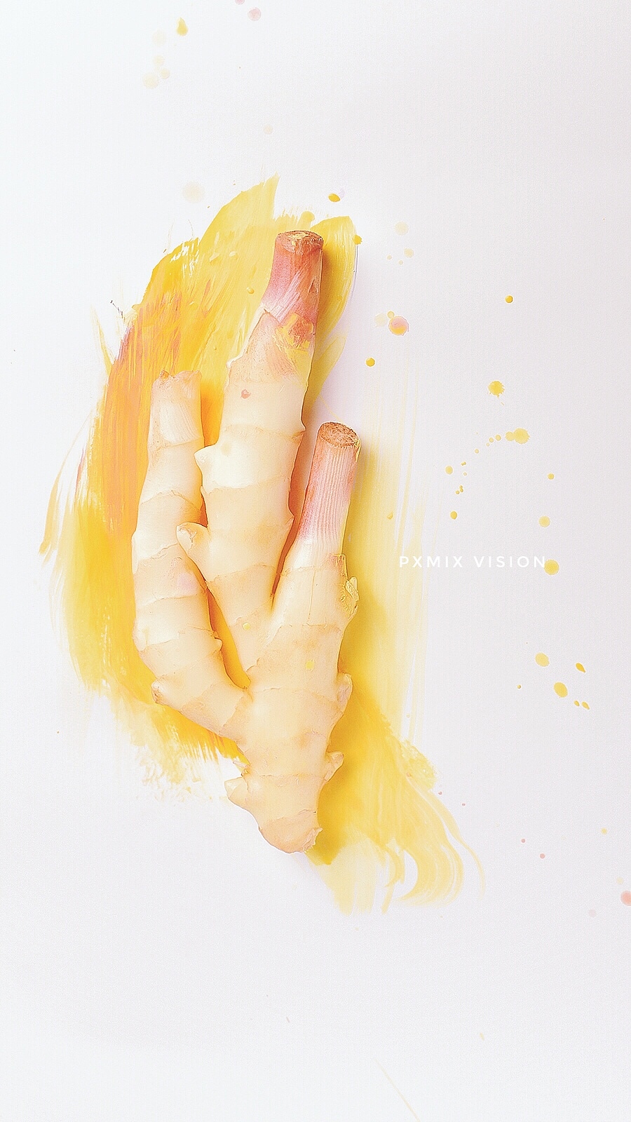 果蔬如画 | 象线视觉