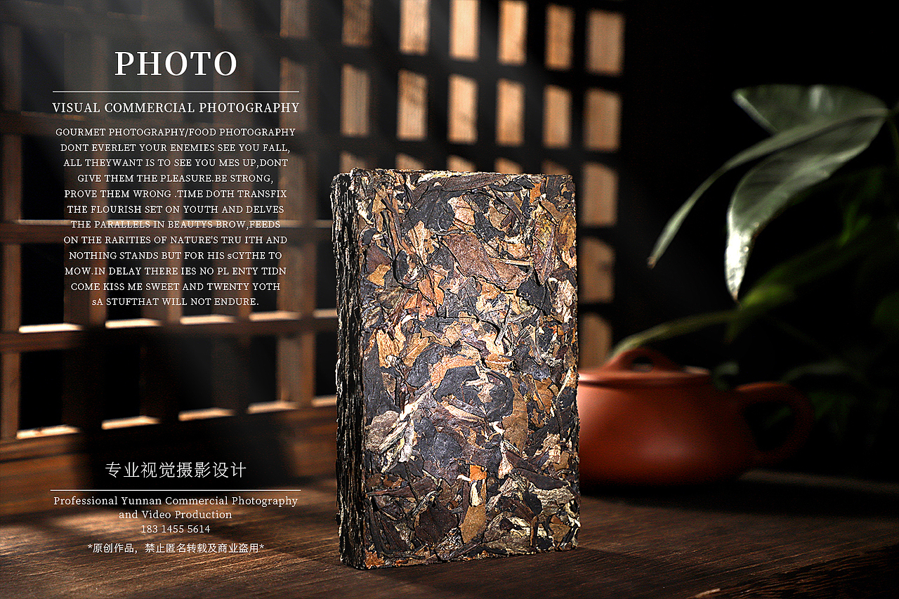 普洱茶/老白茶/产品拍摄