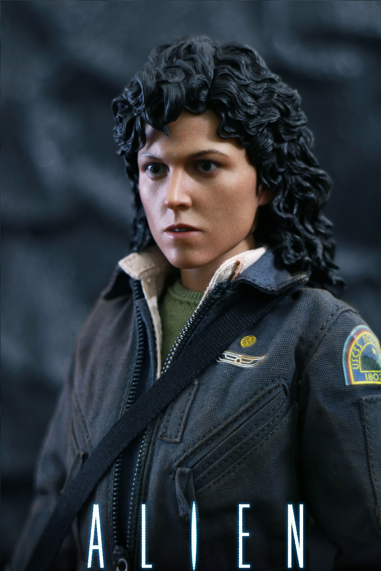 hottoys异形瑞普利