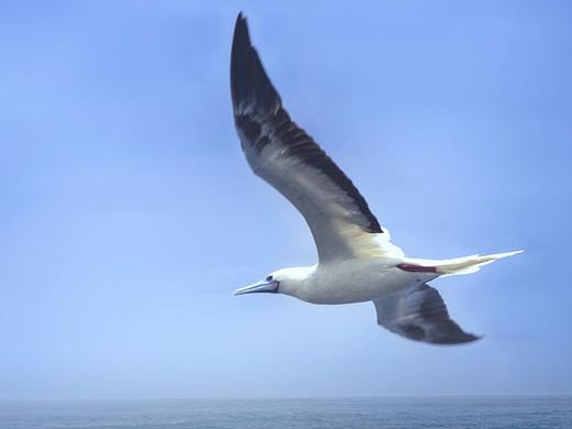 南沙风光（个人主页-ZMjY3MTk4MjQ=） - 风光摄影 - 站酷设计师宇飞摄影原创素材 - 站酷ZCOOL