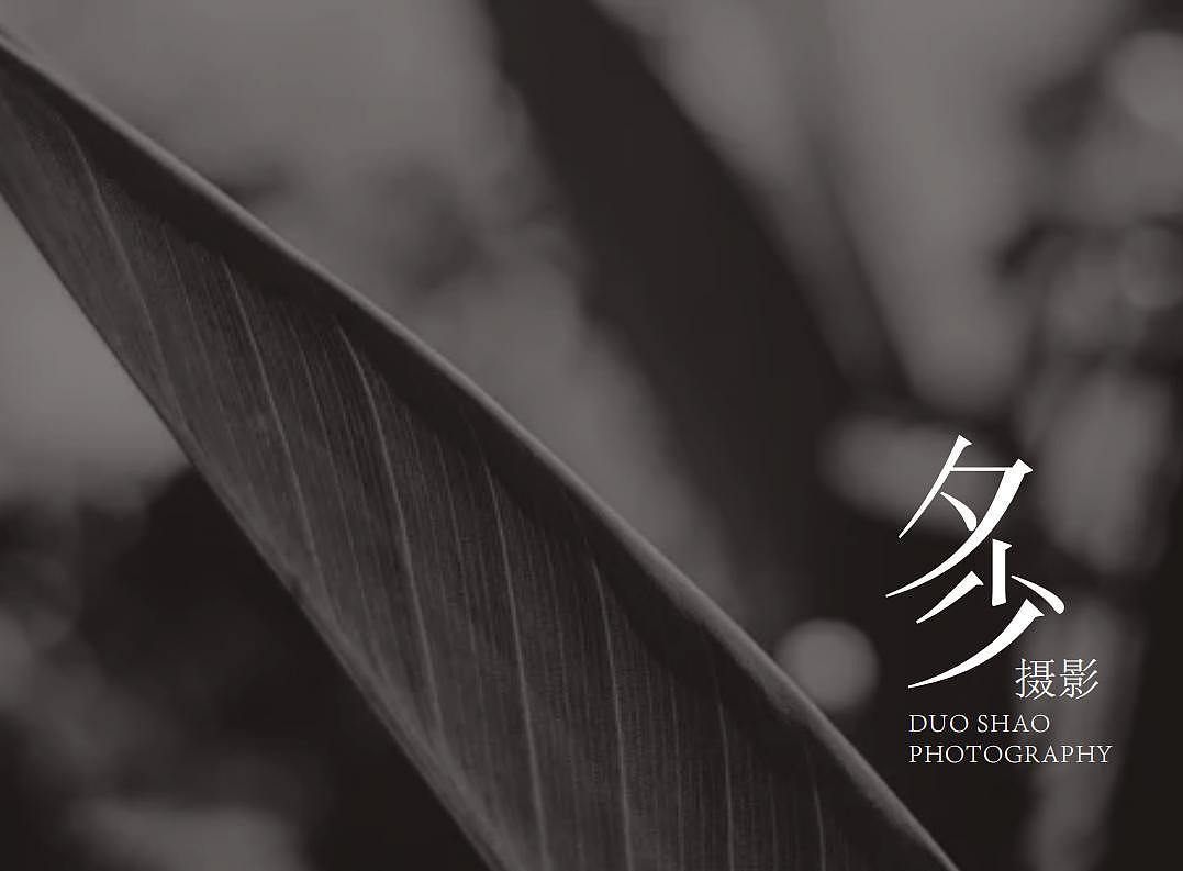 多少摄影VI（图ZMjQ3ODI5MTY4） - 品牌 - 站酷设计师索马里的麻雀多原创素材 - 站酷ZCOOL