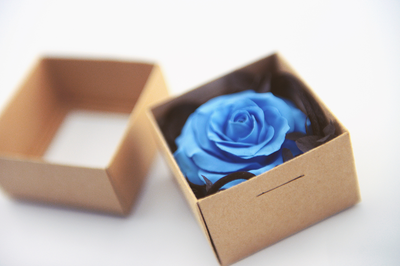 超轻粘土——玫瑰花