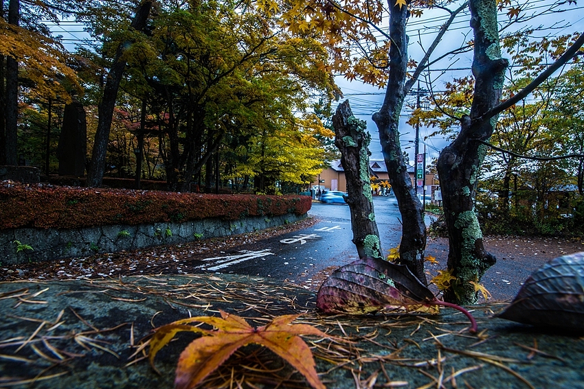 日本随拍（图ZMjEzMjk1NDg=） - 风光摄影 - 站酷设计师emptylu原创素材 - 站酷ZCOOL