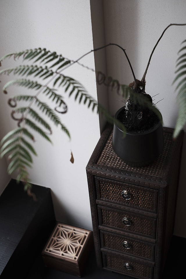 一展原创空间设计|莲伴堂私人茶室