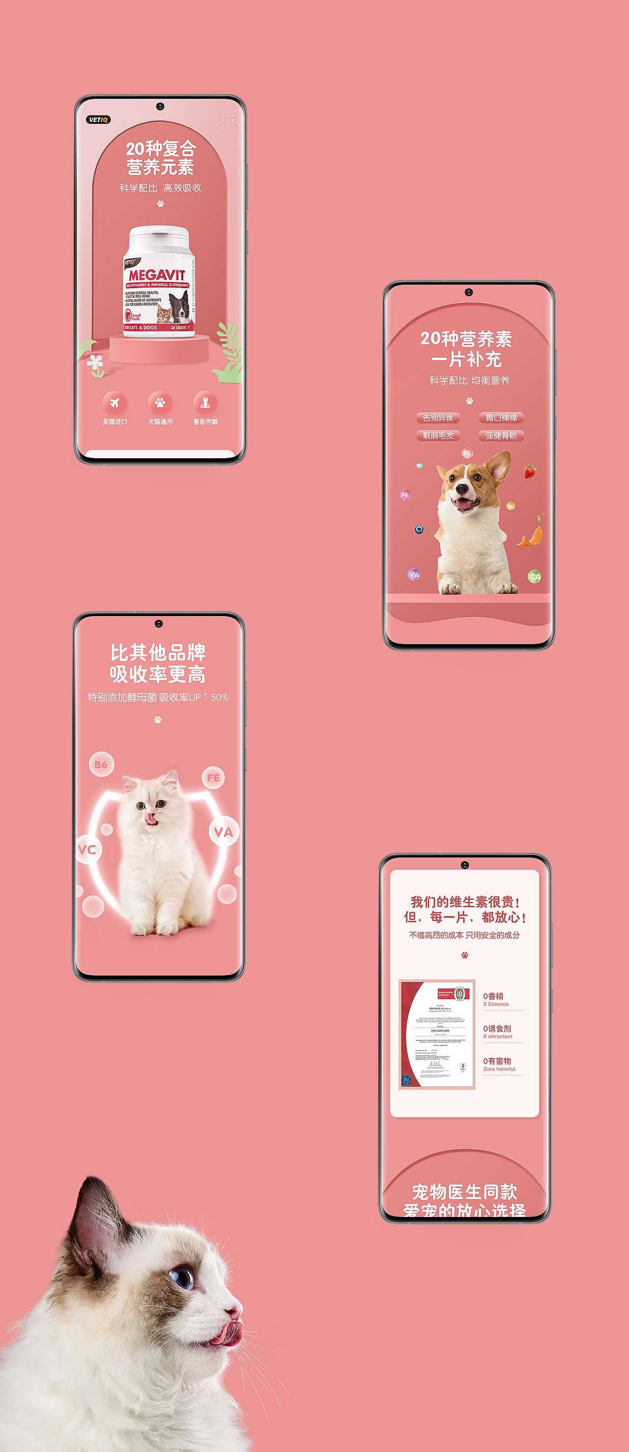 寵物鈣片（圖ZMjY4MjU5NTAw） - 電商 - 站酷設(shè)計師z歡喜原創(chuàng)素材 - 站酷ZCOOL