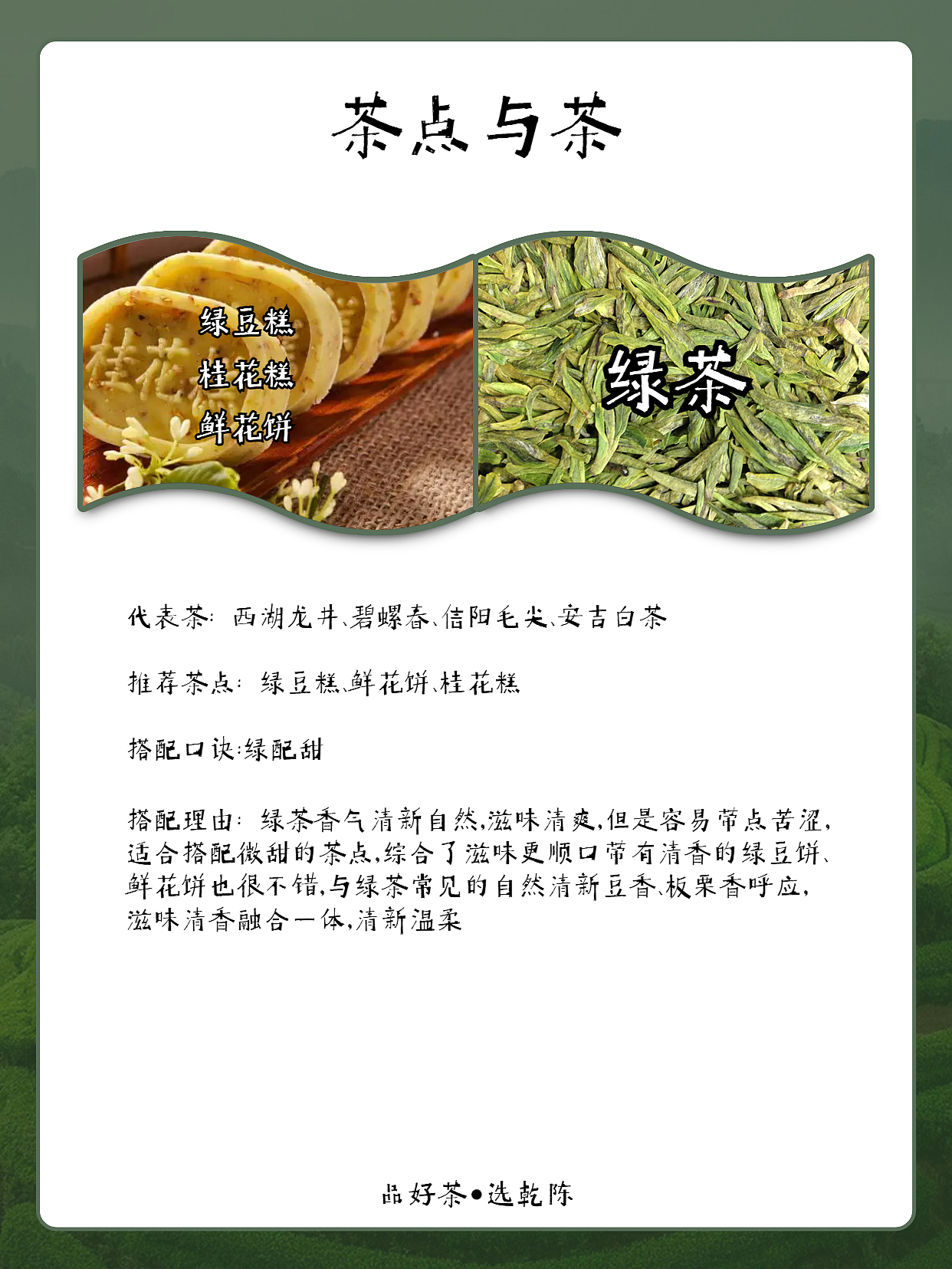 每日一款茶茶点知识