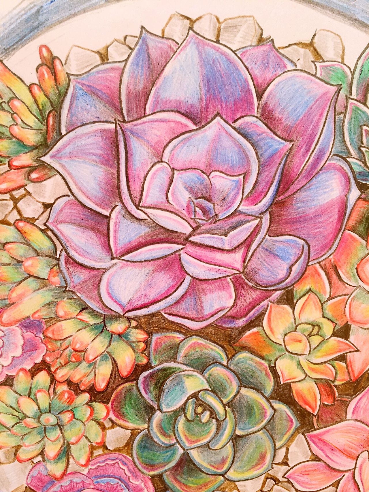 多肉（图ZNDk4ODcxMTY=） - 绘画 - 站酷设计师dora920原创素材 - 站酷ZCOOL