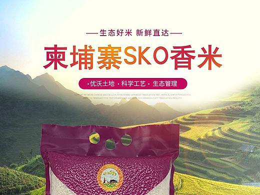 电商 天猫 京东  考拉 海报 大米详情页