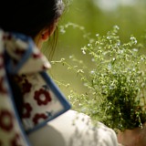 花花12的头像