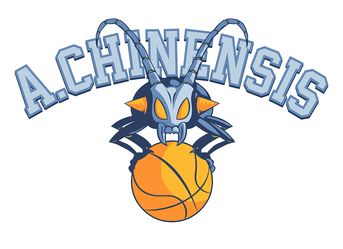 星天牛篮球队|平面|logo|房进灰_原创作品-站酷zcool