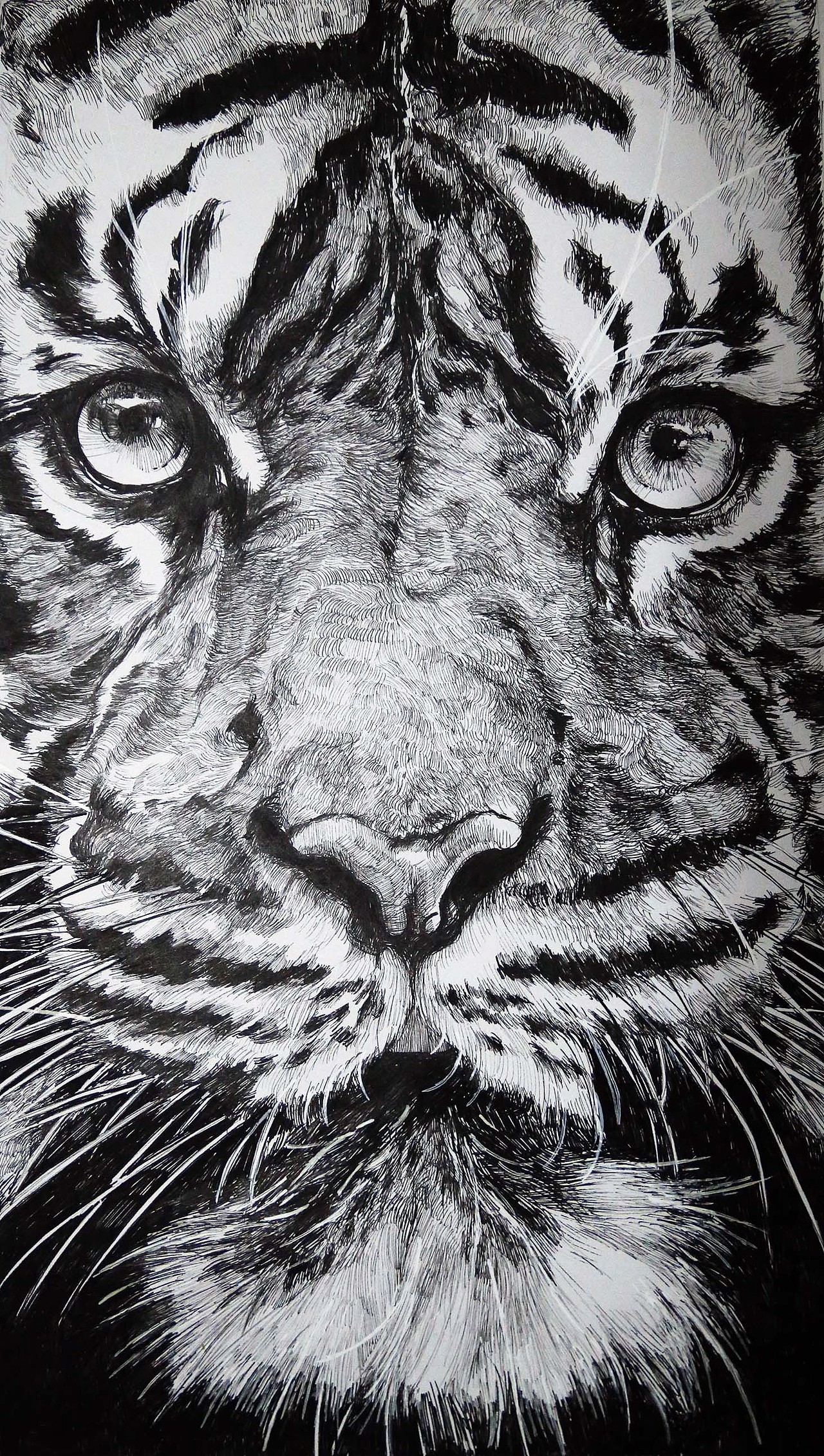 心有猛虎 細嗅薔薇（图ZMjc5MjM2NzY=） - 商业插画 - 站酷设计师Diannnn原创素材 - 站酷ZCOOL