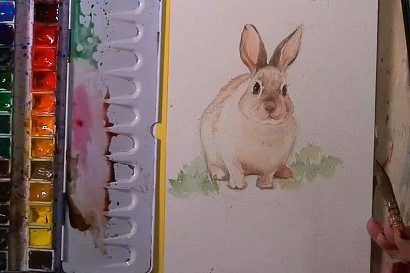 水彩动物教程（二）—小白兔~（图ZMjAzMTE0MjA=） - 艺术插画 - 站酷设计师明天教室原创素材 - 站酷ZCOOL