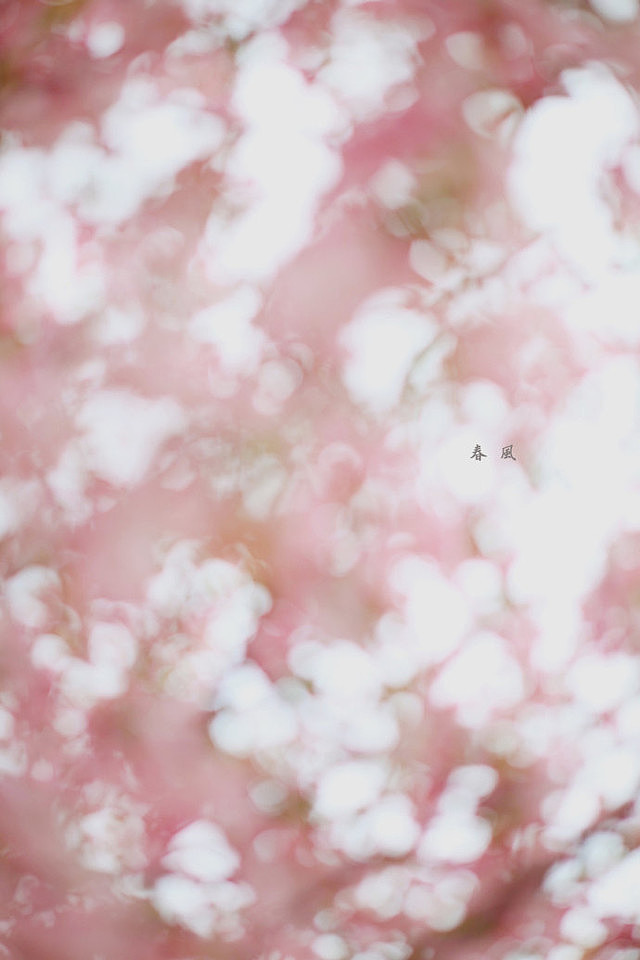 种桃种李种春风