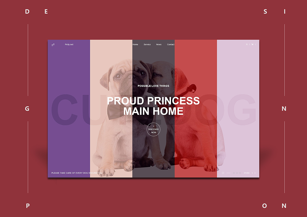 07——轻奢居家的两只沙皮