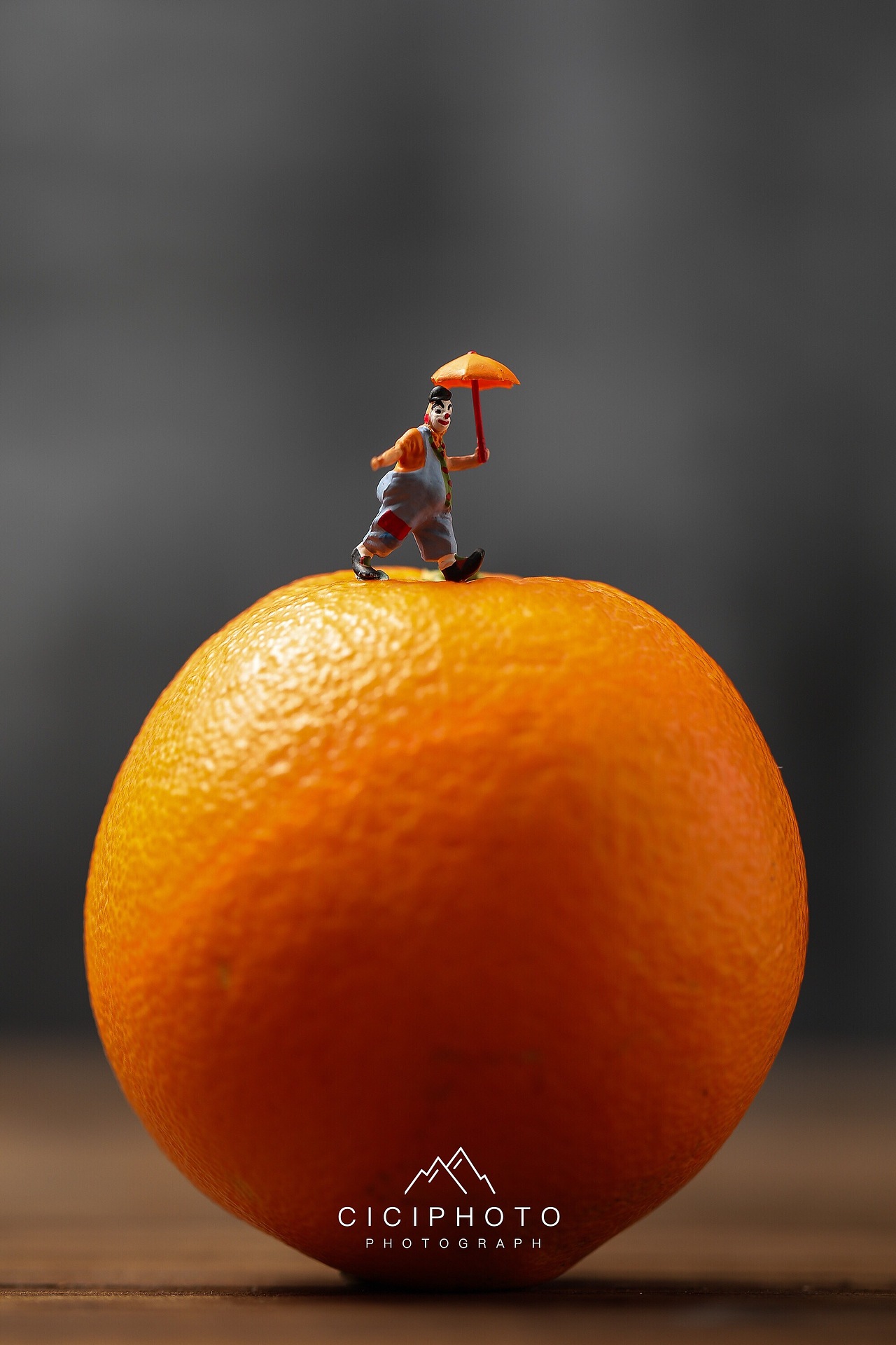 美食摄影｜钟薛高🍦（图ZMjE5ODA0NzY0） - 产品摄影 - 站酷设计师黑摄会女青年原创素材 - 站酷ZCOOL